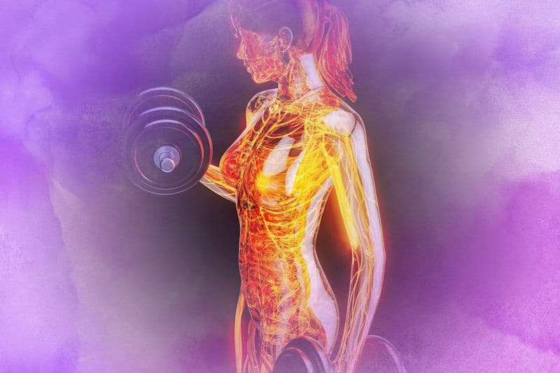 Cellular Bioelectricity and Its Role in Stress and Injury Recovery