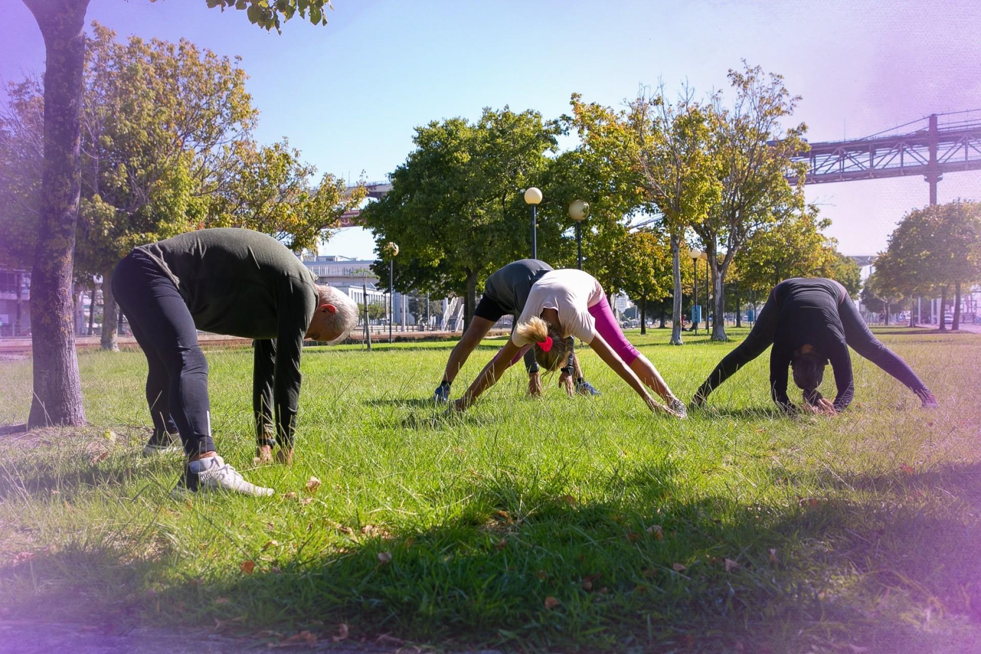 Synergy and Frequency in Energy-Based Wellness