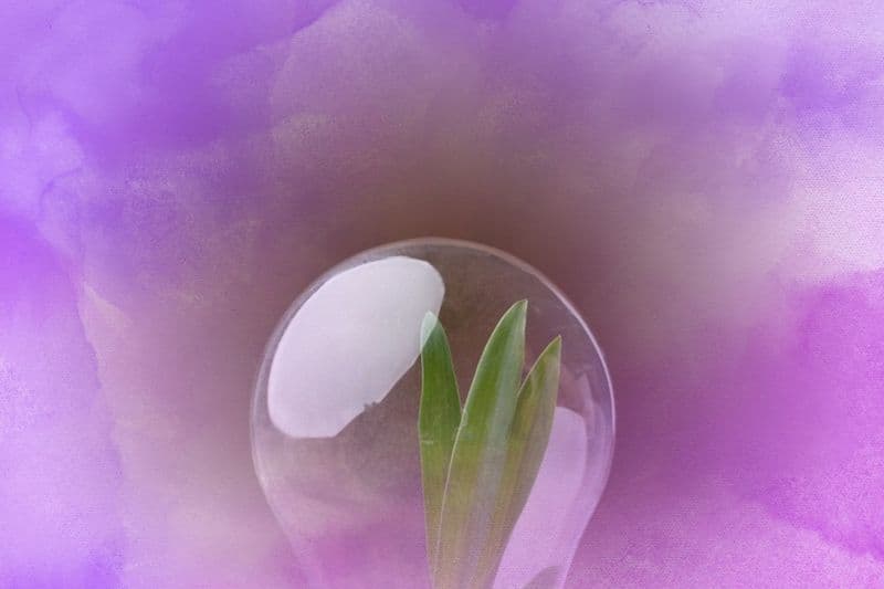 ATP as the Essential Energy Source for Cellular Vitality and Wellness