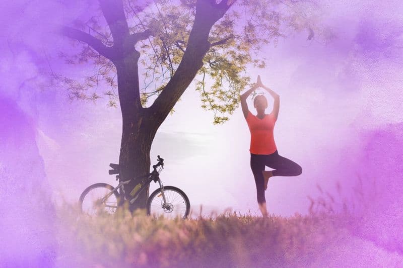 Evolutionary Impact of Sunlight on Life and Human Vitality