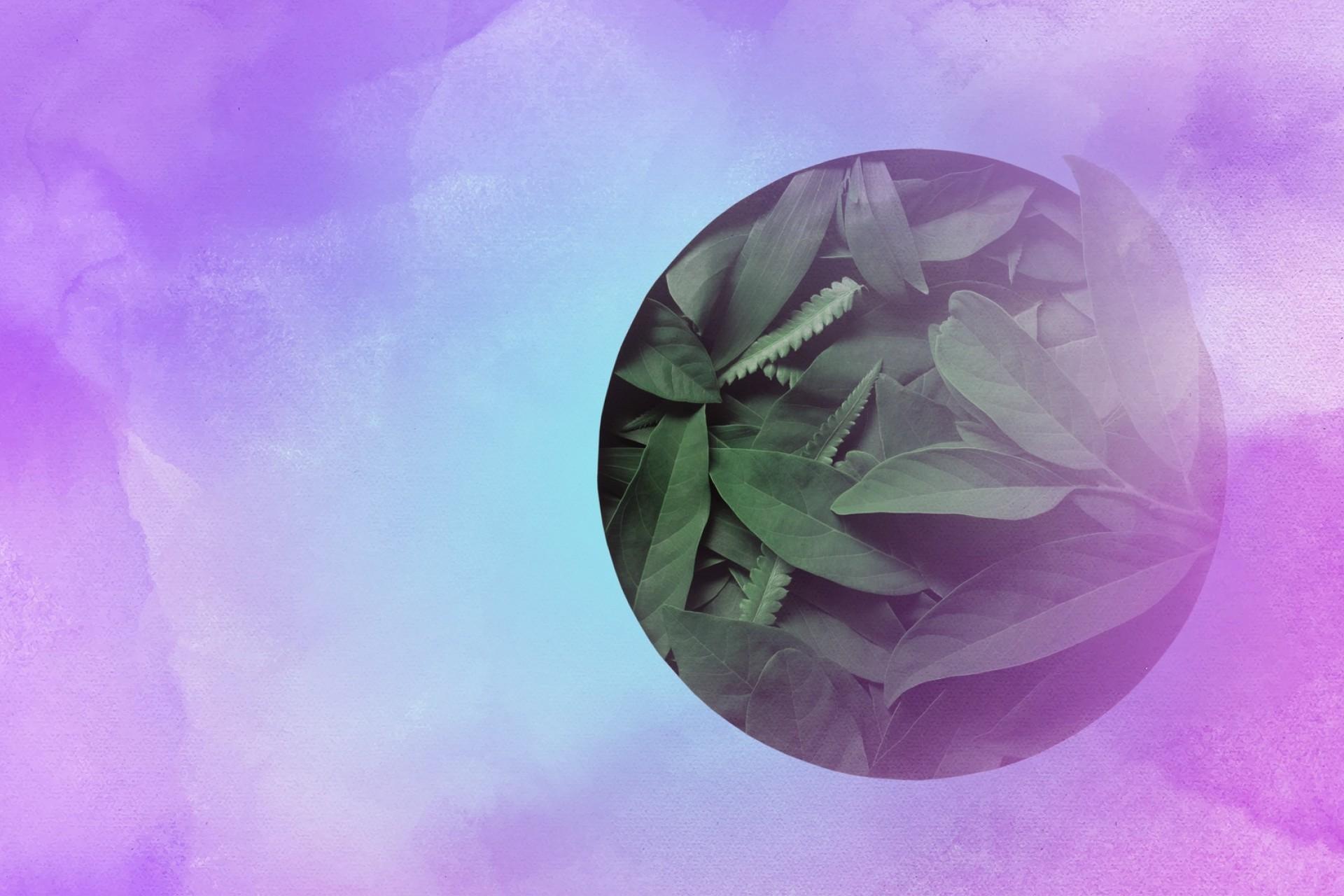 Water as Life's Dynamic Conductor and Cellular Communicator